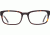 Spy Optic Stevie Progressive Prescription Eyeglasses, Dark Tort Frame, 573446075000PR