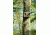 Spy Point Tiny-W3 10MP Trail HD Camera w/Wireless Access and Time-Lapse/Multi-shot, Camo Tiny-W3