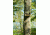 Spy Point Tiny-WBF 8MP Trail Camera w/Wireless Access and Time-Lapse/Multi-shot, Camo Tiny-WBF