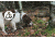 Spy Point Xcel Action Camera Dog Mount, Black XHD-DOG