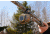 Spy Point Xcel Action Camera Shotgun Mount, Black XHD-SGM