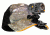 Spy Point Xcel Action Camera Cap Mount, Black XHD-CM
