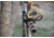 Spy Point XcelHD Hunt Edition 5MP HD Action Camera w/Remote, Camo Xcel HD Hunt