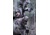 Spy Point XcelHD Hunt Edition 5MP HD Action Camera w/Remote, Camo Xcel HD Hunt