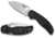 Spyderco Alzheimers Lightweight Sage 5 Folding Knife, Black, C123PBK