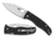 Spyderco Bodacious Folding Knife, 3.66in, CPM-S30V, Leaf Blade, Black Handle, C263GP