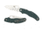 Spyderco Caly 3 Sprint Folding Knife, Green, C113GPGR