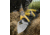 Spyderco Crow 2 G-10 Plain Edge Folding Knife, Black BY09GP2
