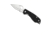 Spyderco Crow 2 G-10 Plain Edge Folding Knife, Black BY09GP2