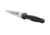 Spyderco EuroEdge Folding Knife, Black, C215GP