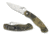 Spyderco Military Folding Knife, Camo G-10 Handle, FE Blade, C36GPCMO