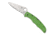 Spyderco Pacific Salt 2 Folding Knife, 3.78in, H-1, FRN, Spyder, Green, C91FSGR2