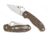 Para 3 Brown