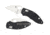 Spyderco Q Ball Folding Knife, Black, C219GP