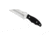 Spyderco Ronin 2 Plain Edge Knife FB09GP2