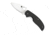 Spyderco Sage Carbon Fiber Handle, FE Blade Fold Knife C123CFP