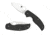 Spyderco Sage Carbon Fiber Handle, FE Blade Fold Knife C123CFP