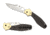Spyderco Schempp Bowie Plain Edge Knife C190CFP
