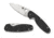 Spyderco Emphasis Plain Edge Folding Knife, 3.61in, G-10, Tip-Up, Black, C245GP