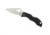 Spyderco Starling 2 Folding Knife, Black, BY12GP2