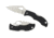 Spyderco Starling 2 Folding Knife, Black, BY12GP2