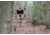 Spypoint Adjustable Mounting Arm, Camo MA-360-C