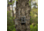 Spypoint Flex-M Twin Pack Cellular Camera Twin Pack Multi Carrier, Green, 1840