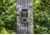 Spypoint Steel Security Box for SOLAR camera, Camo SB-100