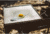 Stansport Cast Iron Griddle - 15x15in 16010-100