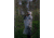 Stansport Child Peva Poncho, 45x72in, Clear, 963-C