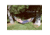 Stansport Deluxe Hammock - Single - 80x29.5in 31010