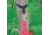 Stansport Hammock Tree Strap,Set of 2 31005