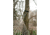 Stansport Hammock Tree Strap,Set of 2 31005