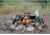 Stansport Heavy Duty Steel Camp Grill - 36x18in 614-3618