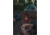 Stansport Kerosene Hurricane Lantern, 12in., Red 48220