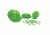 Stansport Polyware Set - 2 Person  - Green 313-10