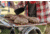 Stansport Propane Bbq - Stainless Steel 035