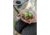 Stansport Sierra Outdoor Cup, Small 733553