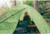 Stansport Star-Lite I Back Pack Tent, w/Fly, Green, 84x60x40in, 723-800