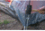 Stansport 12 Steel Tent Stakes - 4 Pack, Stainless, 12L x 0.75W x 0.5H, 812-4