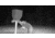 Stealth Cam Stealth Cam DNVB Digital Night Vision Binocular, Black, STC-DNVB2
