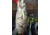SteelShad Heavy, 1/2 Oz, Glow Yellow, SSL-10216