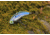 SteelShad Heavy, 1/2 Oz, Kentucky Shad, SSL-10122