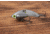 SteelShad Heavy, 1/2 Oz, Silver/Chrome, SSL-10118
