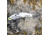 SteelShad Heavy, 1/2 Oz, White Shad, SSL-10125