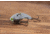 SteelShad Heavy, 1/2 Oz, White Shad, SSL-10125