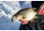 SteelShad Heavy, 1/2 Oz, Wonderbread, SSL-10137