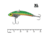SteelShad XL Bait, 3/4 Oz, Perch / Firetiger, SSL-10015