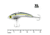 SteelShad XL Bait, 3/4 Oz, Sexy Shad, SSL-10035