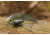 SteelShad XL Bait, 3/4 Oz, Silver/Chrome, SSL-10012